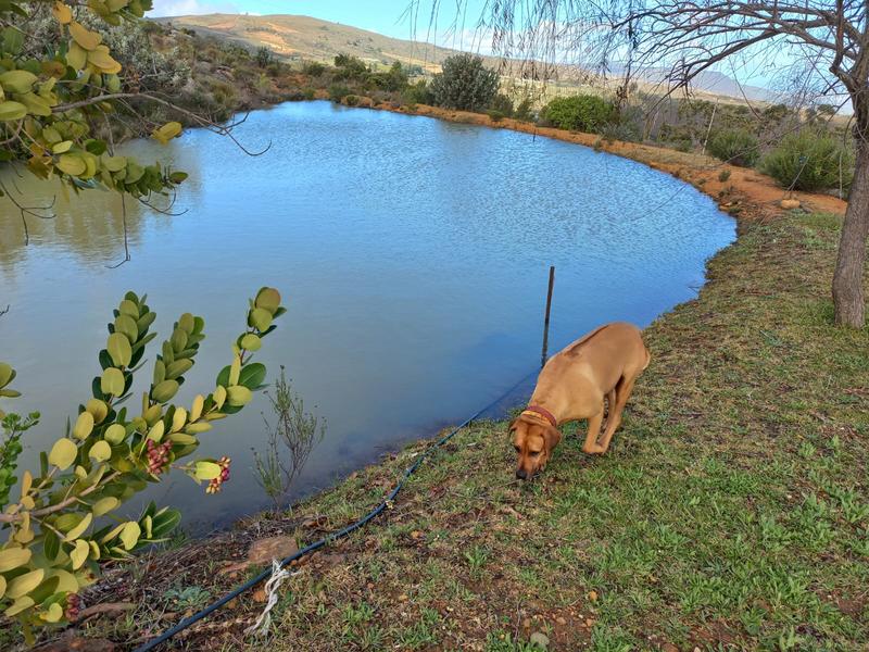 4 Bedroom Property for Sale in Piketberg Rural Western Cape